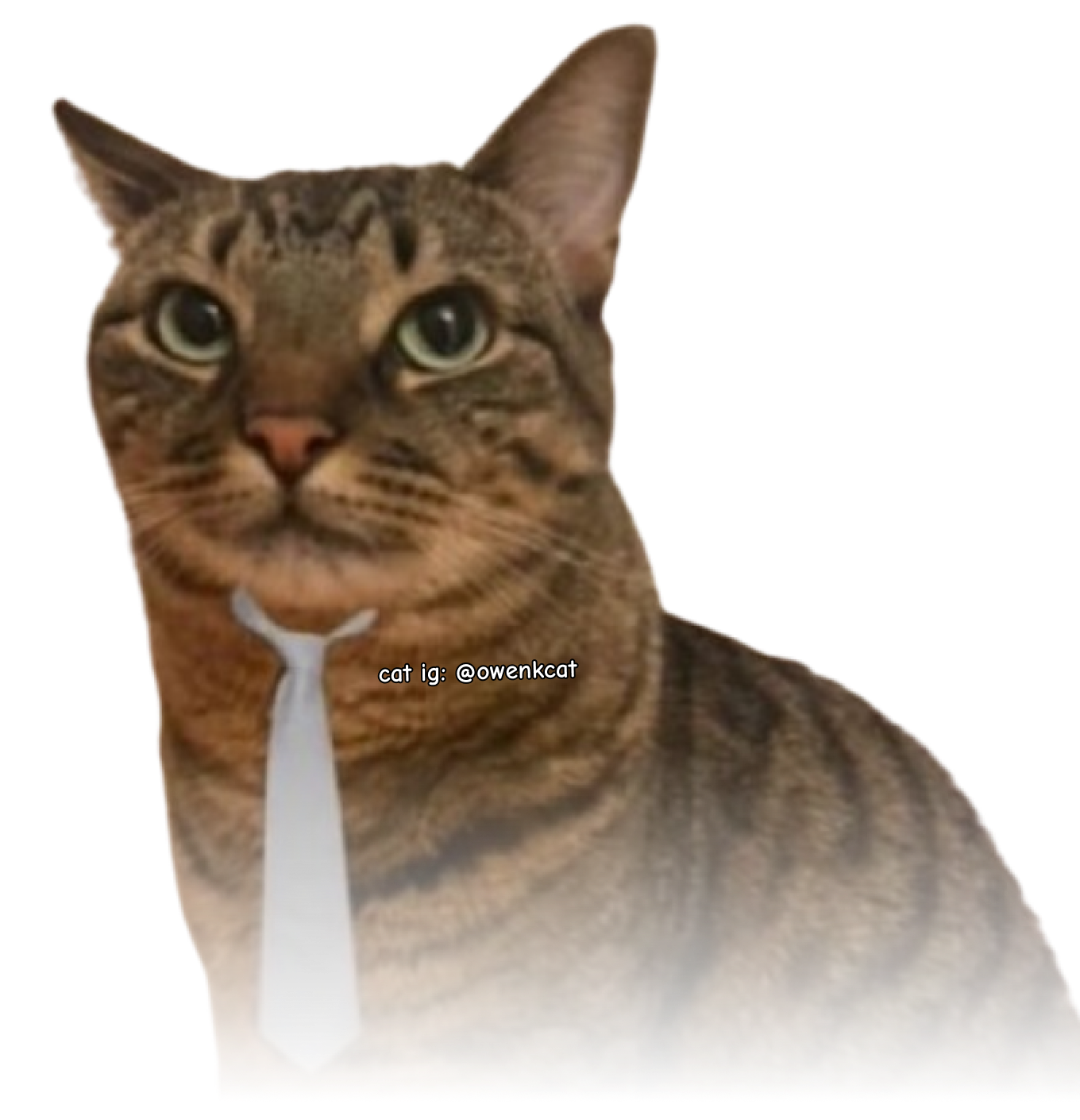 this is the man who you're talking to